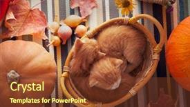  Presentation with thanksgiving - PPT layouts enhanced with vegetables on a wooden thanksgiving background and a tawny brown colored foreground