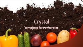  Presentation with vegetable garden - Slide deck consisting of vegetables on the soil background and a wine colored foreground