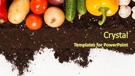  Presentation with soil - Amazing slide set having onion seedlings - vegetables on the soil backdrop and a tawny brown colored foreground