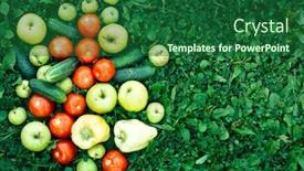  Presentation with cucumbers - Presentation theme consisting of vegetables-tomatoes-cucumbers-peppers background and a forest green colored foreground