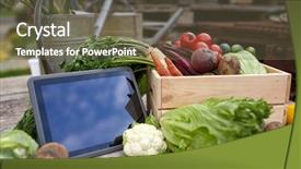  Presentation with farm food - Amazing theme having vegetables with tablet pc computer backdrop and a tawny brown colored foreground