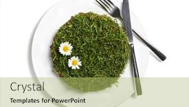  Presentation with cutlery food - 