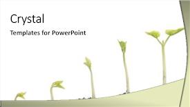  Presentation with growth - PPT layouts consisting of vegetation stages of bean plant background and a white colored foreground