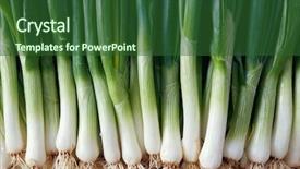  Presentation with shot - Audience pleasing PPT theme consisting of full frame shot of spring backdrop and a ocean colored foreground