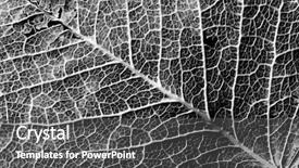  Presentation with veins - Beautiful presentation theme featuring veinus - background textured image made backdrop and a dark gray colored foreground