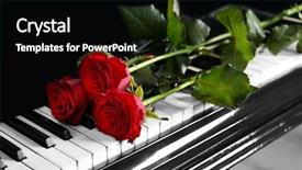  Presentation with bible red rose - Slide set with velentine - beautiful bunch of red rose background and a black colored foreground