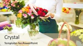  Presentation with roses - Presentation theme featuring vendor selection - female florist selecting fresh roses background and a  colored foreground