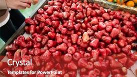  Presentation with vendor - Slide deck having vendor selection - fresh wax apple fruit stack background and a  colored foreground