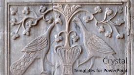  Presentation with peacocks - 