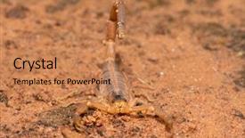  Presentation with ready - Beautiful presentation design featuring venom - front view of a striped backdrop and a coral colored foreground