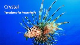  Presentation with e commerce james miles - Presentation theme featuring venom - lionfish pterois miles also known background and a cobalt blue colored foreground