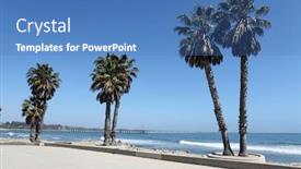  Presentation with beach palm tree wedding - Slides with ventura beach plaza and palms with pier in the background background and a teal colored foreground