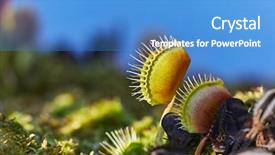  Presentation with venus - Colorful PPT theme enhanced with venus's flytrap carnivorous plant backdrop and a teal colored foreground