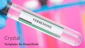  Presentation with plants - PPT theme enhanced with verbenone-a-pheromone-produced background and a lilac colored foreground