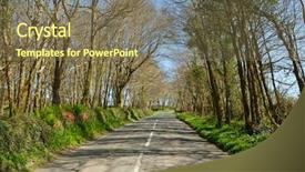  Presentation with pine trees sun shining through - PPT theme enhanced with  background and a  colored foreground.