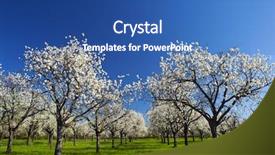  Presentation with orchard - Amazing slides having verger du pommier - apple orchard in the middle backdrop and a ocean colored foreground