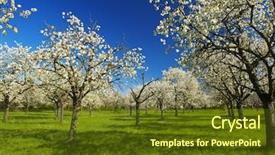  Presentation with orchard - Colorful slide set enhanced with verger du pommier - apple orchard in the middle backdrop and a tawny brown colored foreground