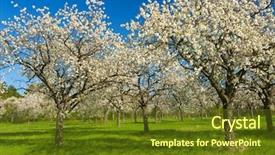  Presentation with orchard - Slide deck featuring verger du pommier - apple orchard in the middle background and a tawny brown colored foreground