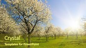  Presentation with orchard - PPT theme consisting of verger du pommier - apple orchard in the middle background and a tawny brown colored foreground
