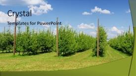  Presentation with orchard - Presentation design featuring verger du pommier - apple orchard background and a light blue colored foreground