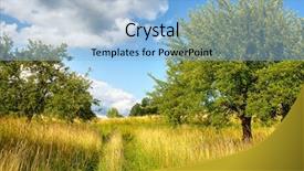  Presentation with orchard - Beautiful slide set featuring verger du pommier - apple orchard backdrop and a light blue colored foreground