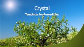  Presentation with apple - Presentation featuring  background and a  colored foreground.