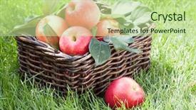 Presentation with red apple tree - Beautiful presentation theme featuring verger du pommier - fresh ripe red apples backdrop and a mint green colored foreground