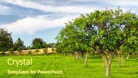  Presentation with summer trees - Slide set having verger du pommier - fruit trees in a summer background and a tawny brown colored foreground
