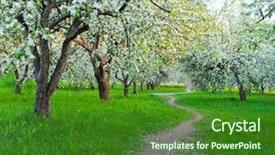  Presentation with springtime - Colorful theme enhanced with verger du pommier - white blossom of apple trees backdrop and a forest green colored foreground