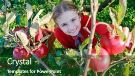  Presentation with organic chemistry reaction formula - Audience pleasing PPT theme consisting of verger du pommier - young girl picking organic apples backdrop and a forest green colored foreground