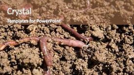  Presentation with composting - Amazing PPT theme having vermi compost - composting worms burrowing backdrop and a tawny brown colored foreground
