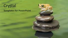  Presentation with feng shui - Theme having vermiculatus or peacock tree frog background and a seafoam green colored foreground