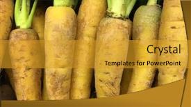  Presentation with painted by me nice - Audience pleasing PPT theme consisting of versatile - very nice close up backdrop and a gold colored foreground