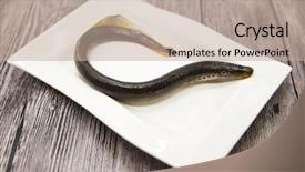  Presentation with porcelain - Slide deck with vertebral body - fresh live fish lamprey background and a  colored foreground