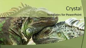  Presentation with green tree - Cool new slides with vertebral body - green iguana on tree branch backdrop and a mint green colored foreground