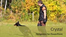  Presentation with doberman - Presentation theme featuring vertebral body - man is dog trainer background and a yellow colored foreground