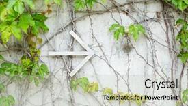 Presentation with vertical - PPT layouts consisting of vertical arrows - green creeper plant on wall background and a  colored foreground