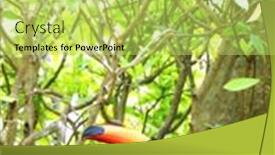  Presentation with green color - Amazing slide deck having vertical-banner-with-beautiful-colorful backdrop and a yellow colored foreground