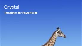  Presentation with vertical - PPT theme enhanced with vertical-banner-with-giraffe-above background and a cobalt blue colored foreground