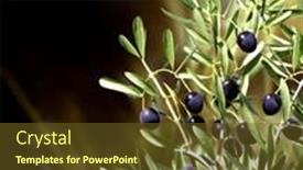  Presentation with olive tree branch ripe - Presentation design featuring vertical-banner-with-ripe-black background and a tawny brown colored foreground