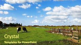  Presentation with vertical farm - Theme featuring vertical farm - channels and cows in museum background and a tawny brown colored foreground