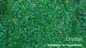  Presentation with vertical - PPT layouts featuring vertical-green-garden-with-grass background and a ocean colored foreground