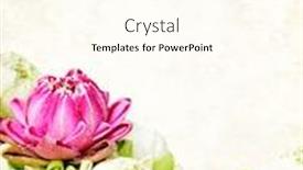  Presentation with grunge flower - Slide deck with vertical-grunge-with-old-paper background and a cream colored foreground