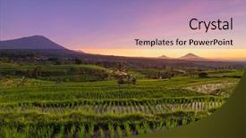 Presentation with rice terraces - PPT theme featuring vertical lines - beautiful sunrise over the jatiluwih background and a coral colored foreground