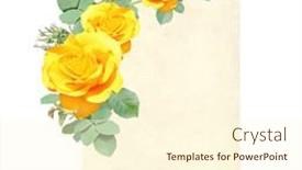  Presentation with rose yellow - PPT layouts featuring vertical-retro-card-with-branch background and a cream colored foreground