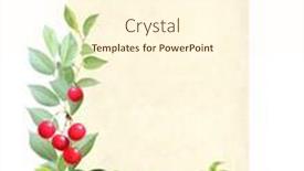  Presentation with vertical - Colorful presentation theme enhanced with vertical-vintage-card-with-cherry backdrop and a cream colored foreground