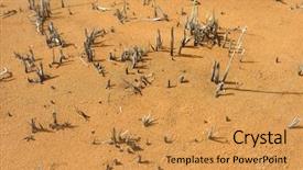  Presentation with climate change - PPT layouts featuring very dry landscape climate change background and a yellow colored foreground