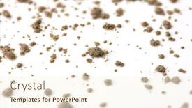  Presentation with allergies - PPT theme having very-fine-common-house-hold background and a cream colored foreground