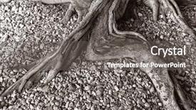 Presentation with black white tree - Amazing PPT theme having very interesting tree stump backdrop and a gray colored foreground