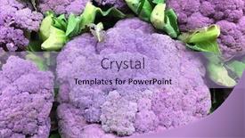  Presentation with harvest - Beautiful slides featuring very nice purple califlower fresh from harvest backdrop and a light blue colored foreground